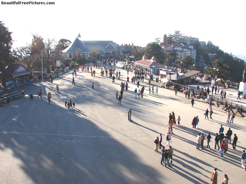 Shimla